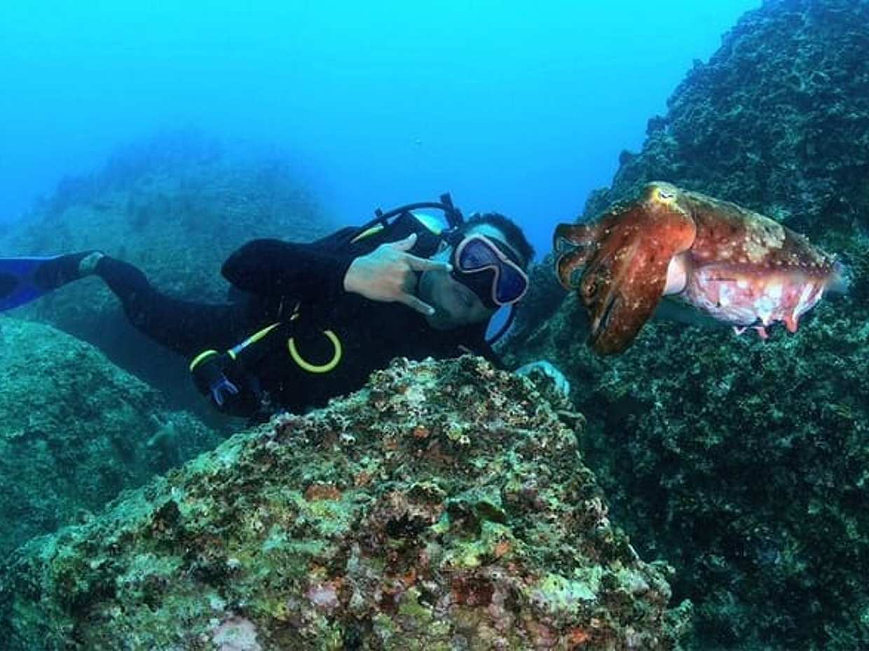 Scuba Diving in Nha Trang Explore Stunning Coral Reefs, photo 5