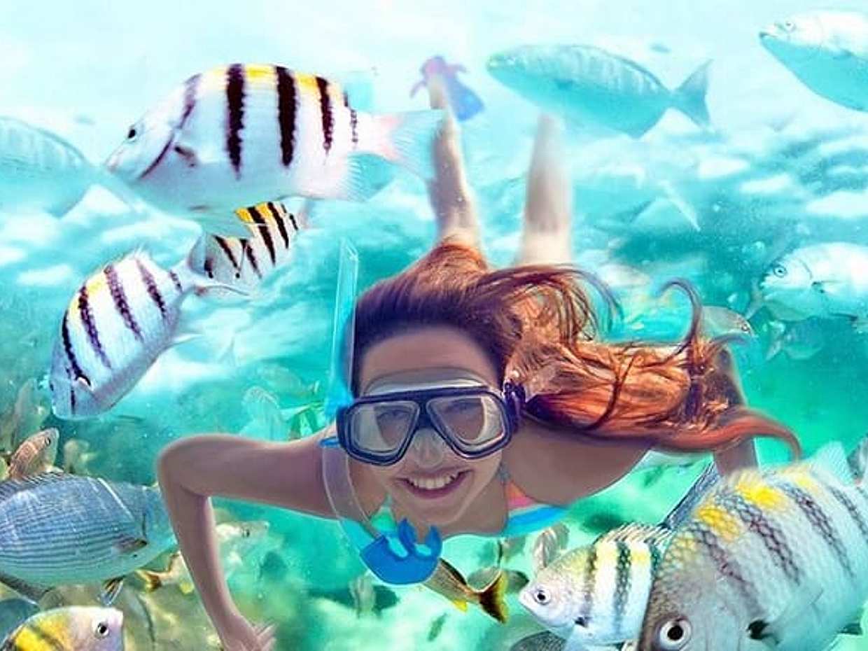 Full-Day ATV + 4 Ziplines + Cenote Swim + Yalkú Snorkeling