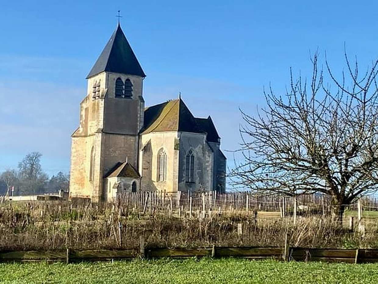 Private Burgundy 3 Domaines Chateau Pommard Chablis 15 Wines Trip