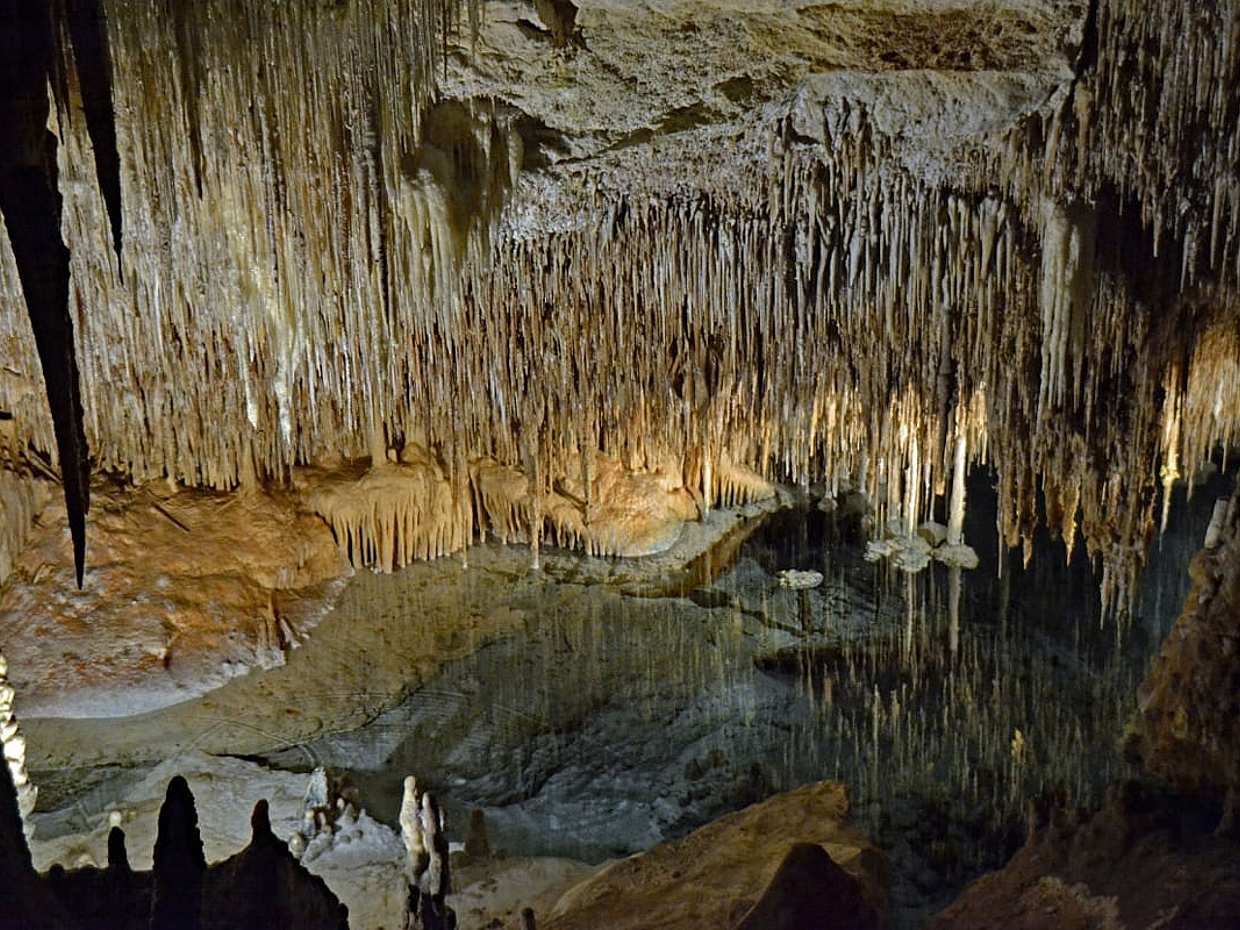 Private Tour: Caves of Drach and Porto Cristo, photo 2