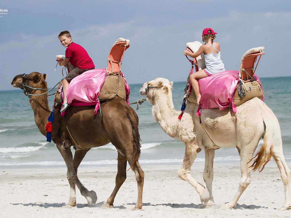 Explore Djerba at the Gentle Pace of a Camel Ride in Tunisia, Djerba Midun, photo 2