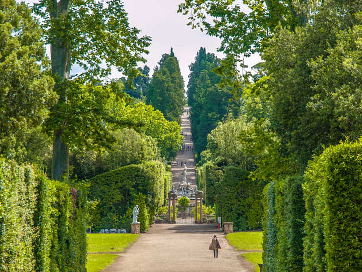 Small group tour to discover the Pitti Palace and the Boboli Gardens, photo 4