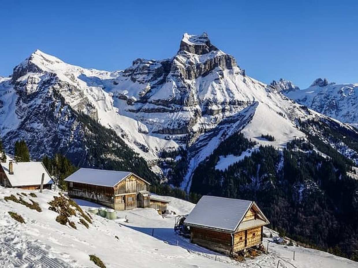Private Transfer From Munich To St. Moritz, English Speaking Driver, photo 5