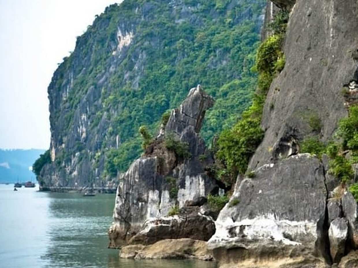 Private 4-Hour Boutique Cruise Through Stunning Halong Bay, photo 3