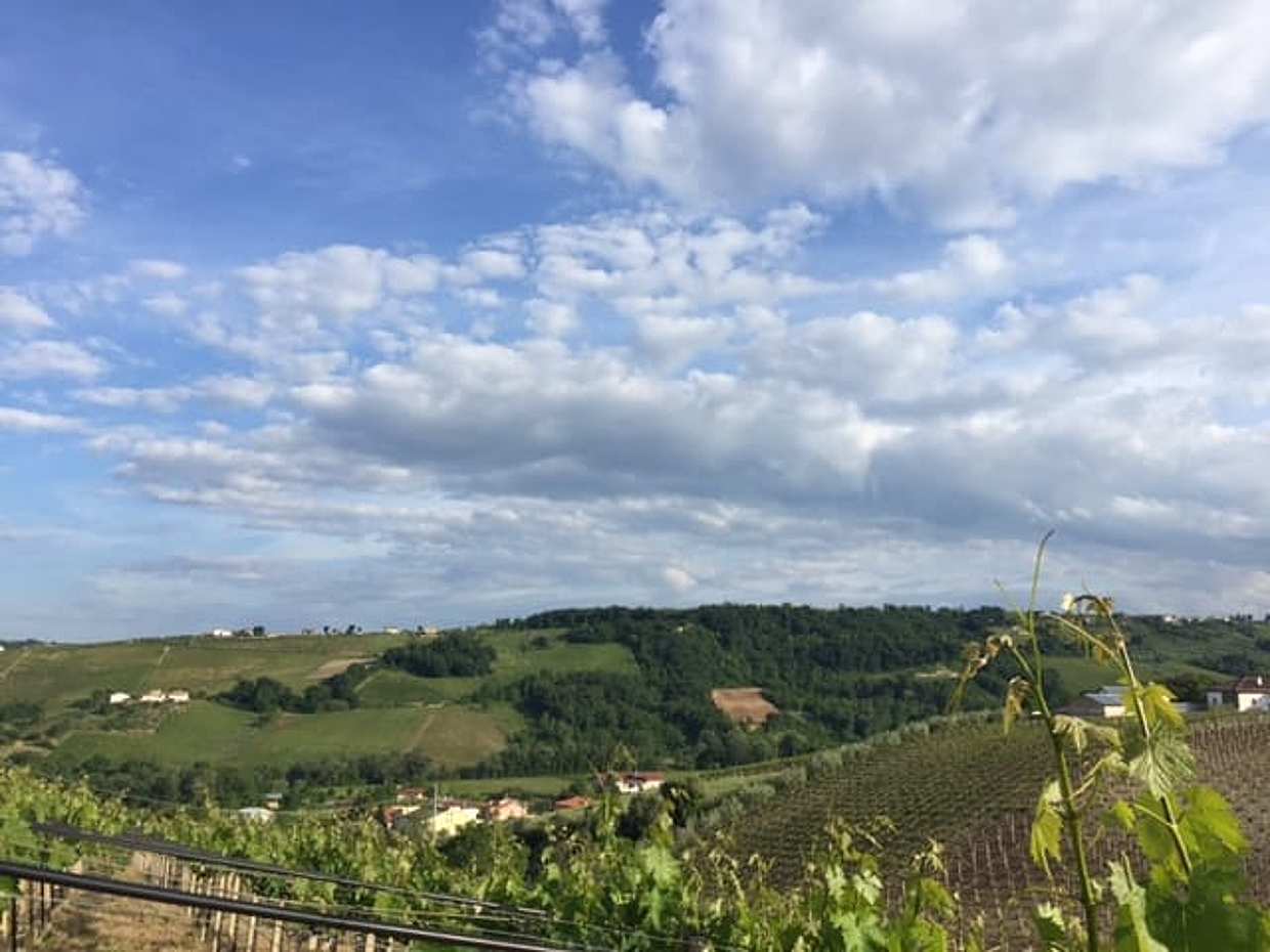 Visita la cantina Pian di Mare, photo 3
