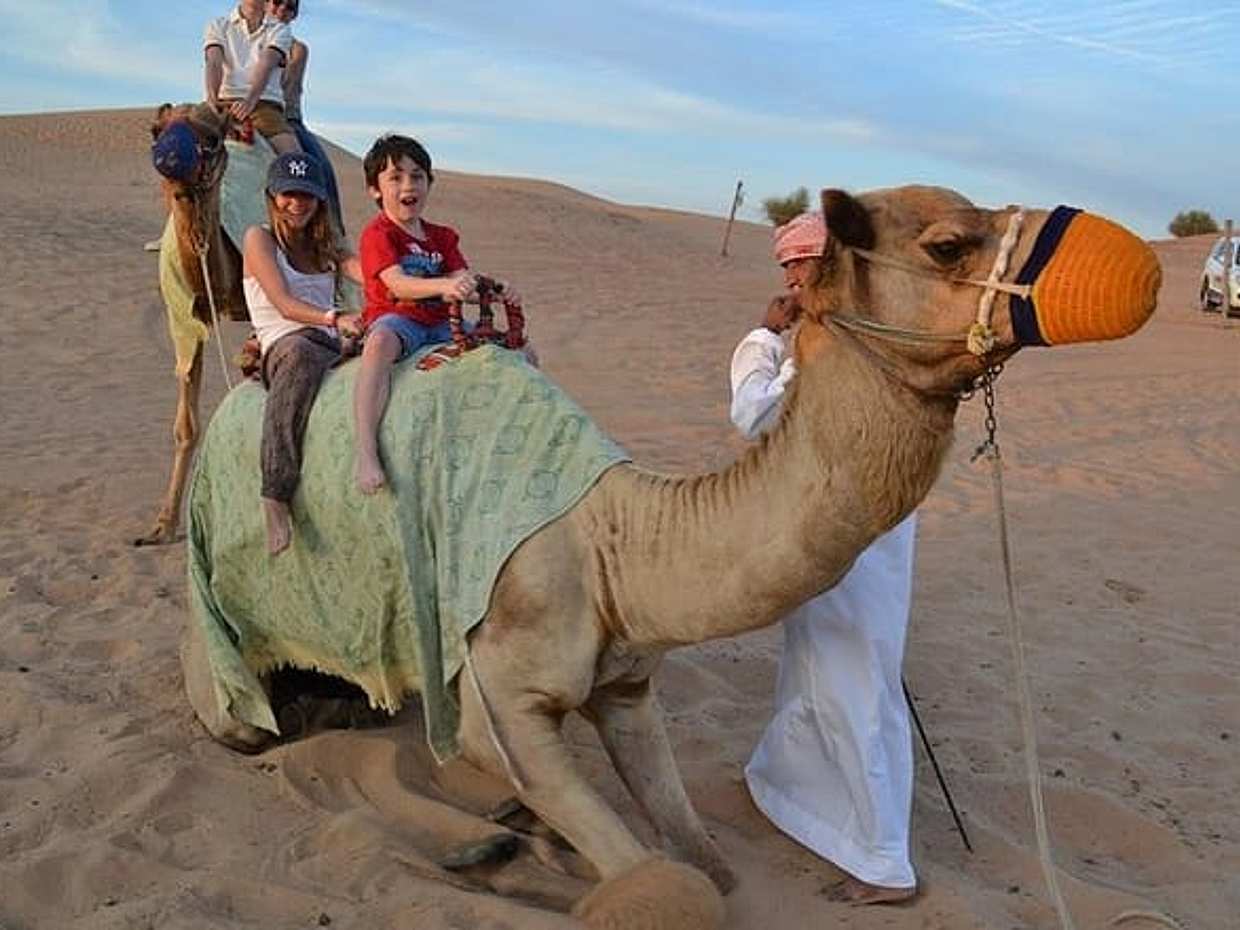 Private Desert Safari From Dubai: Including Buffet Dinner and Live Entertainment, photo 2