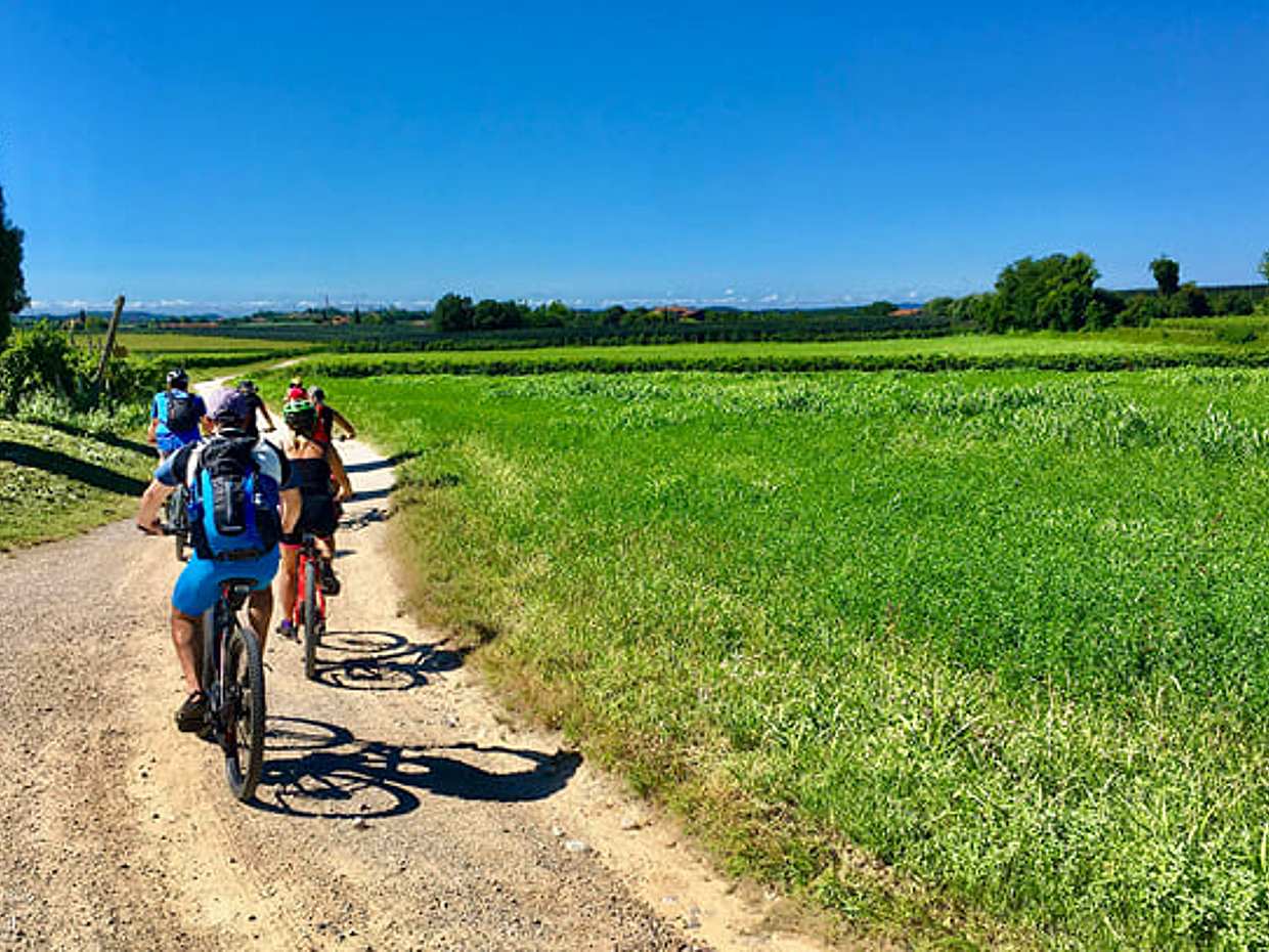 E-Bike tour and wine tasting in Lazise, photo 2
