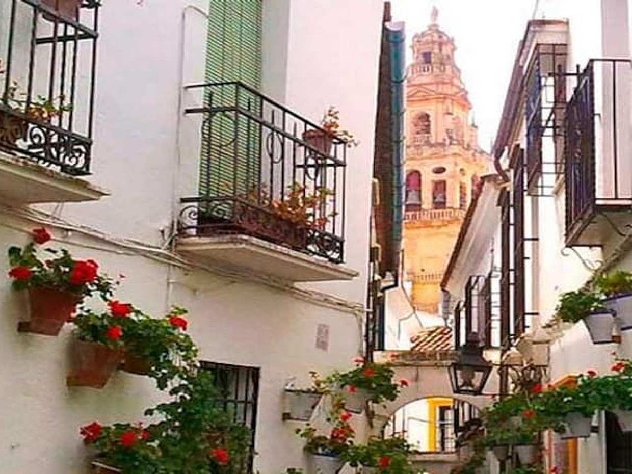 Private Tour of Córdoba from Seville with Tapas Route, photo 3