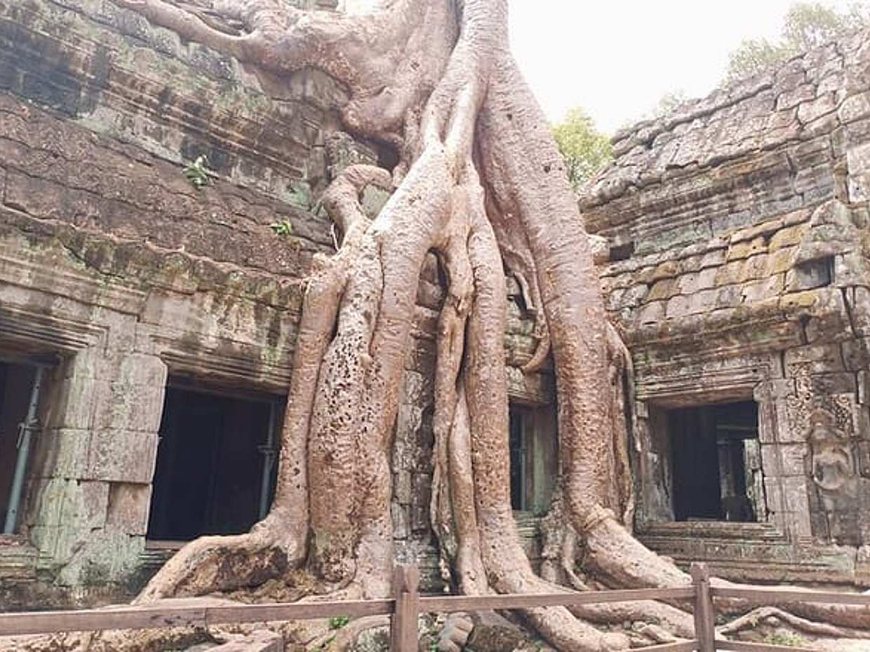 Angkor Wat, Angkor Thom & Ta Prohm Sunset Small-Group Tour, photo 5