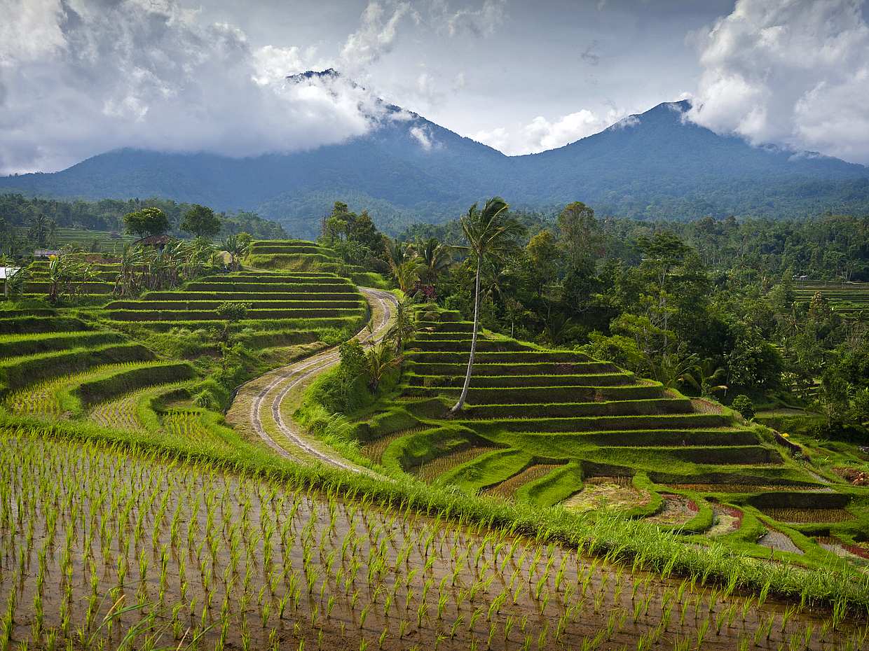 Off the Beaten Track with VW Safari in Bali, Indonesia, photo 2