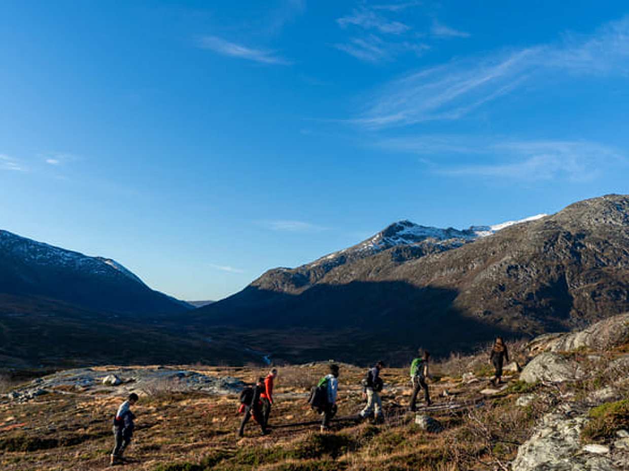 Tromsø: Autumn Hike with local guides, photo 4
