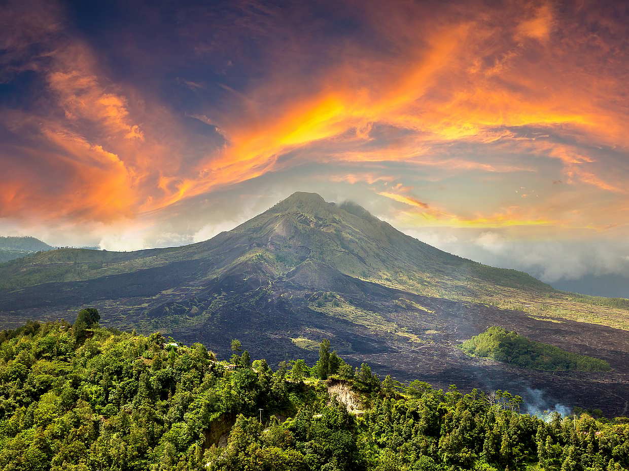 Half-day Bali Private Trip by Car, photo 2