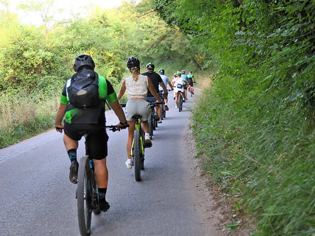 E-Bike tour with Wine tasting from Salò, photo 5
