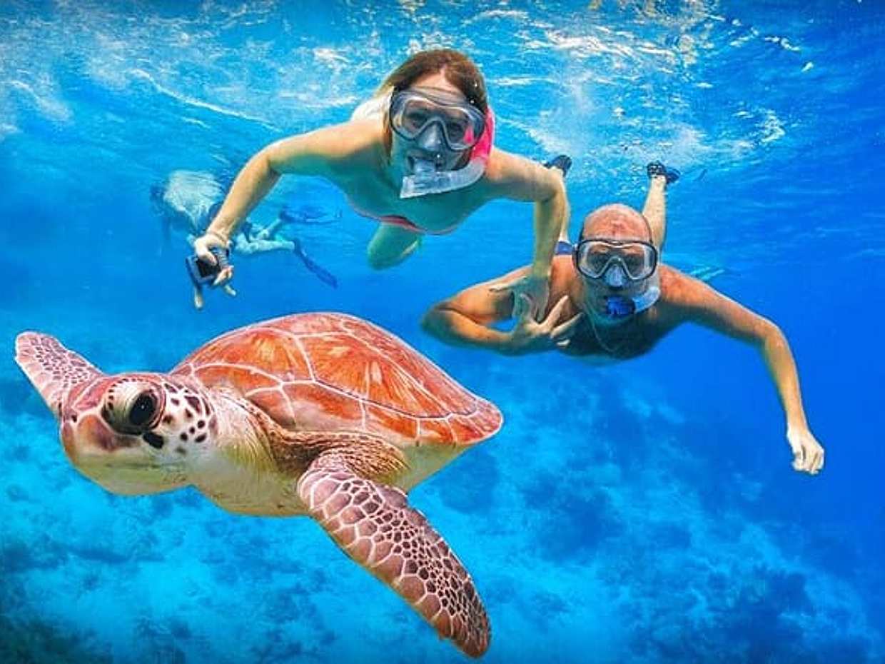 Tulum : Cenote Swim & Turtle Tour with Ruins Visit & Buffette, photo 2
