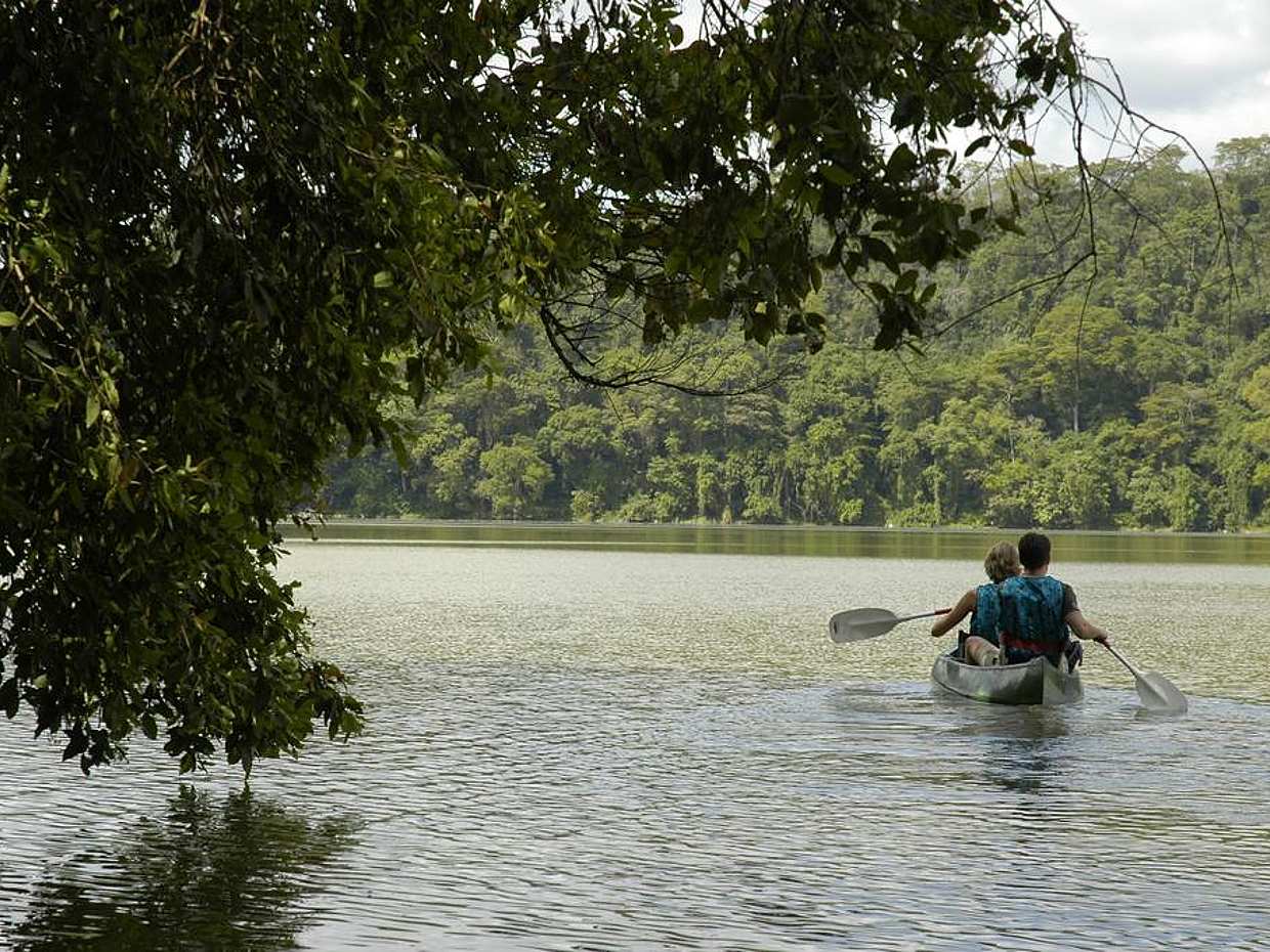 Excursión de un día al Lago Duluti (senderismo y piragüismo) desde Arusha en Tanzania

