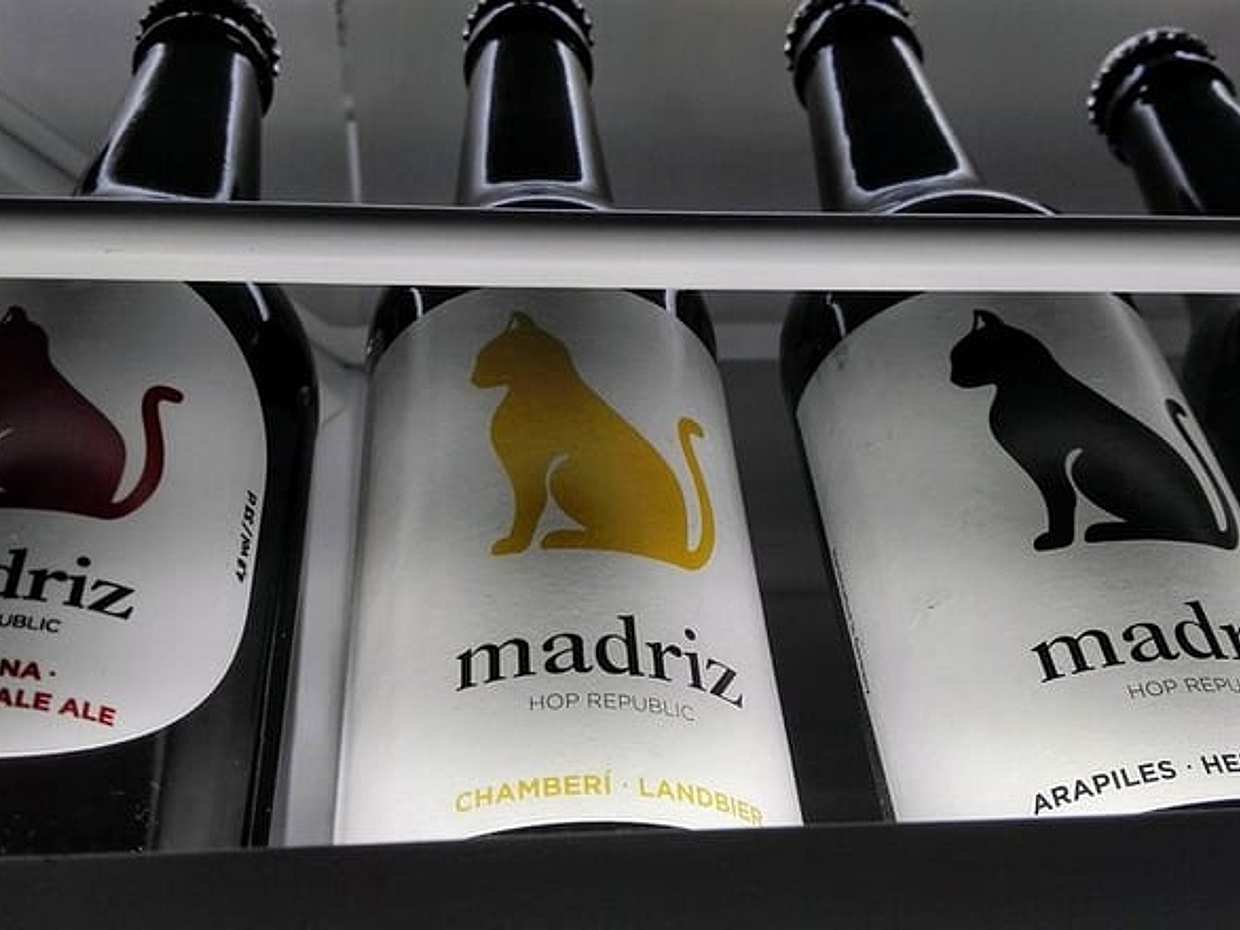 Craft-Beer and Tapas Tour in Madrid, photo 3