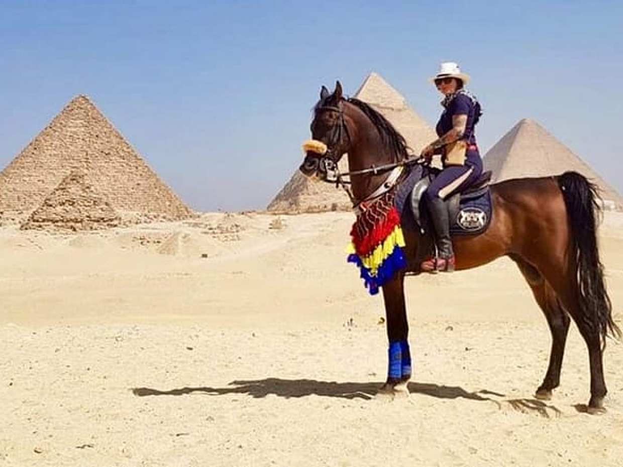 Private Arabian Horses Ride at the Pyramids With Pickup, photo 3