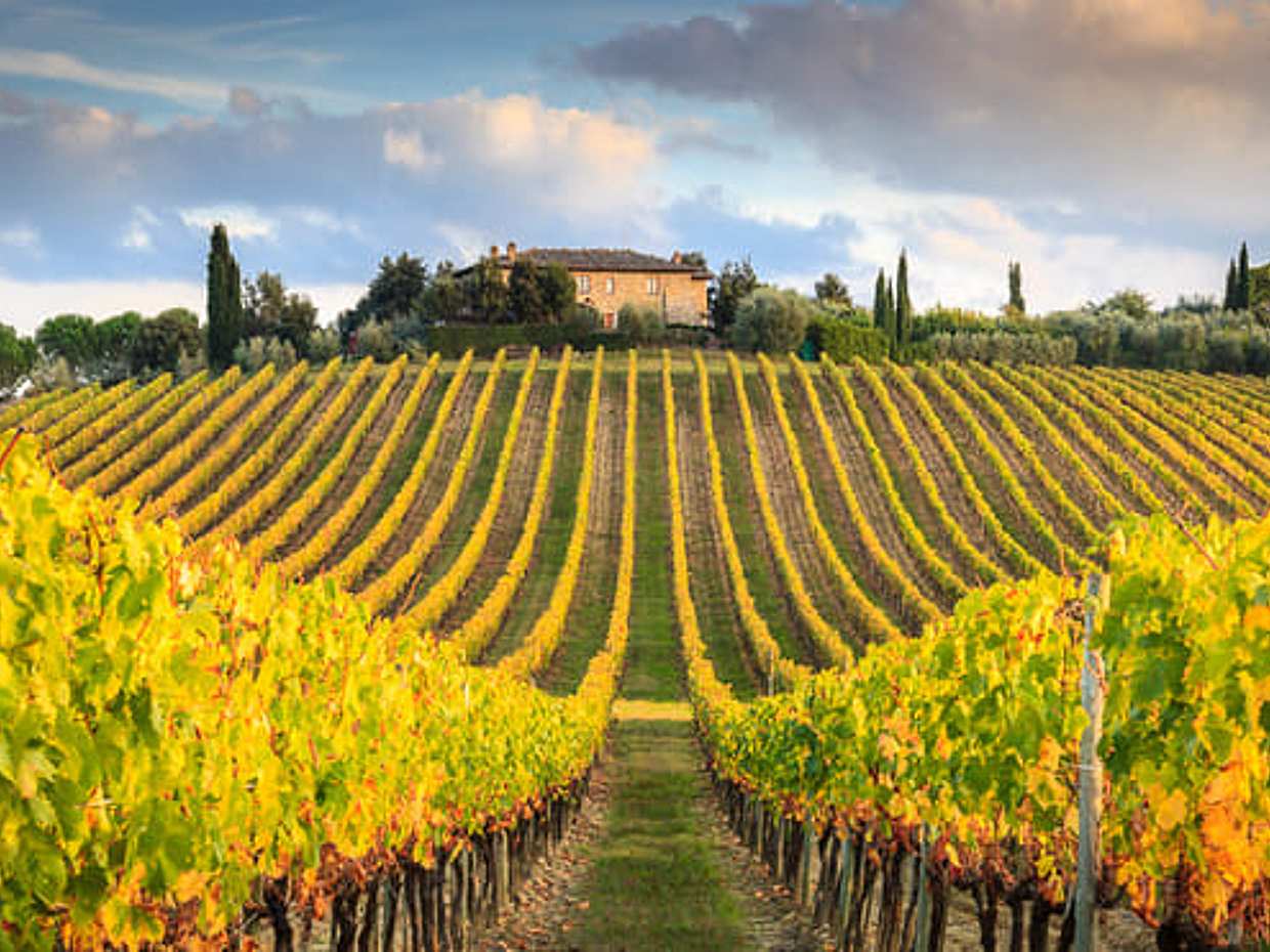 Romantic Chianti at Sunset - Small Group Excursion from Florence with Wine Tastings & Dinner