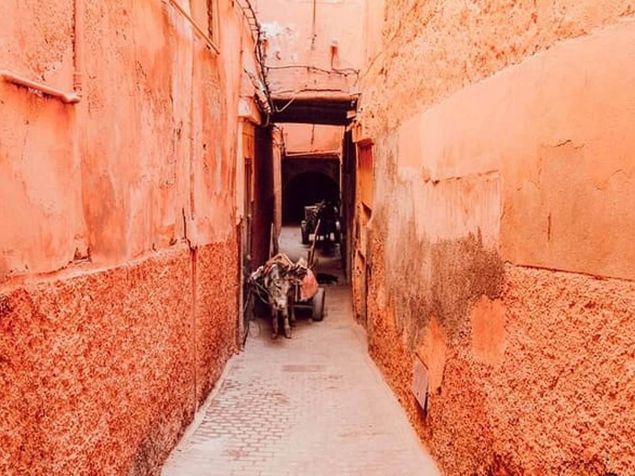 Marrakech Private Photography Tour, photo 5