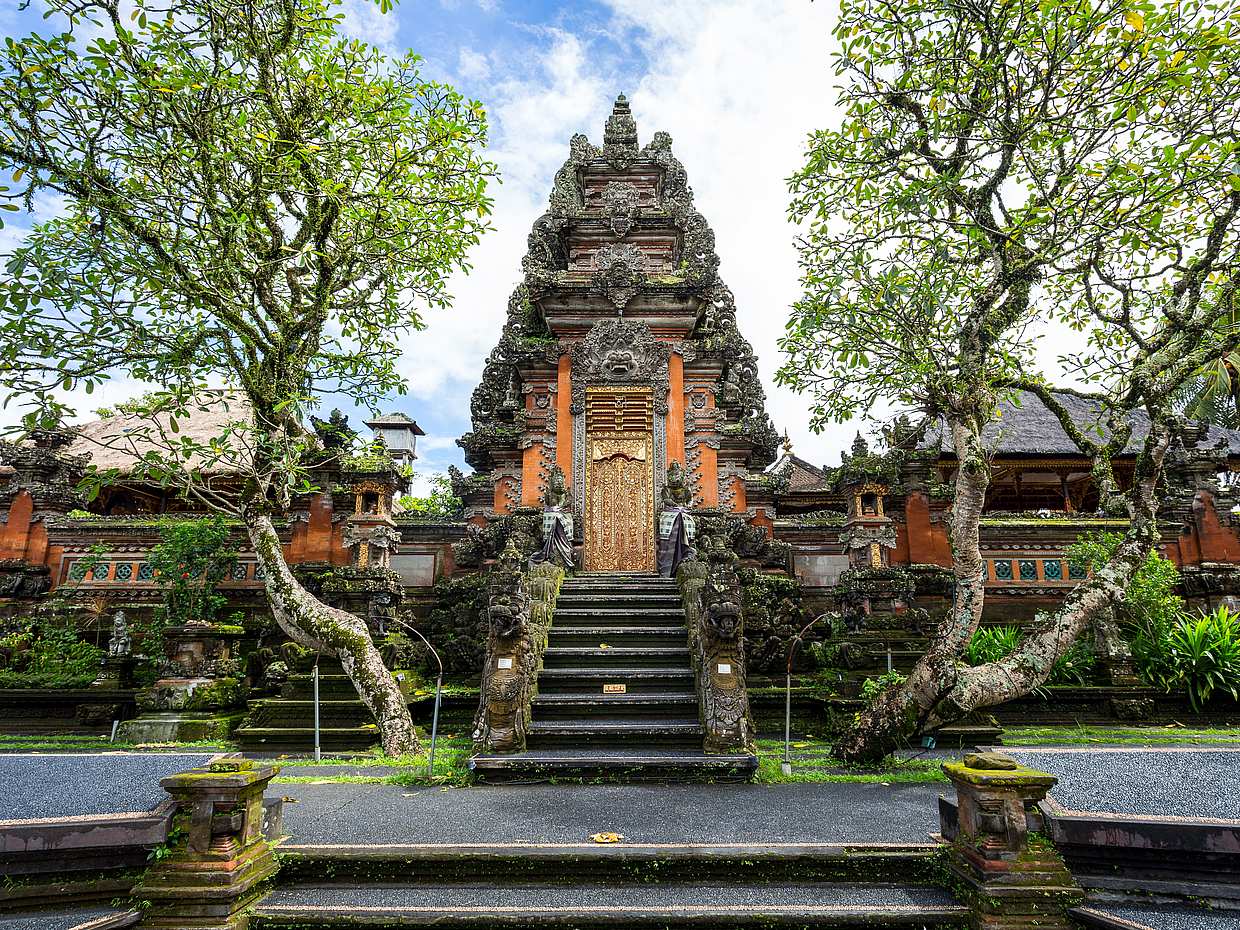 Ubud White Water Rafting, Rice Terrace and Temple Tour, photo 4