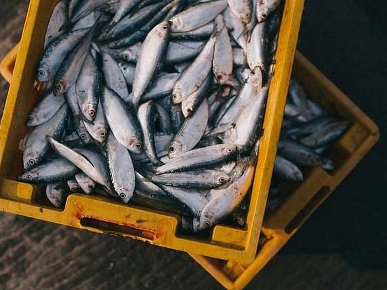 "Do Antigo ao Moderno: Mercados de Atenas Com Delícias Tradicionais na Grécia", photo 2