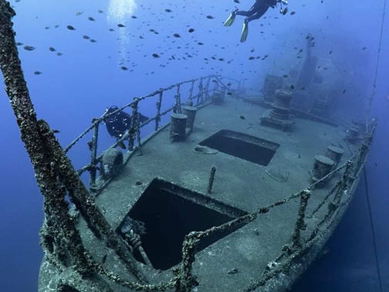 "PECIO CORVETA AFONSO CERQUEIRA - Inmersión única en Portugal, Funchal", photo 4