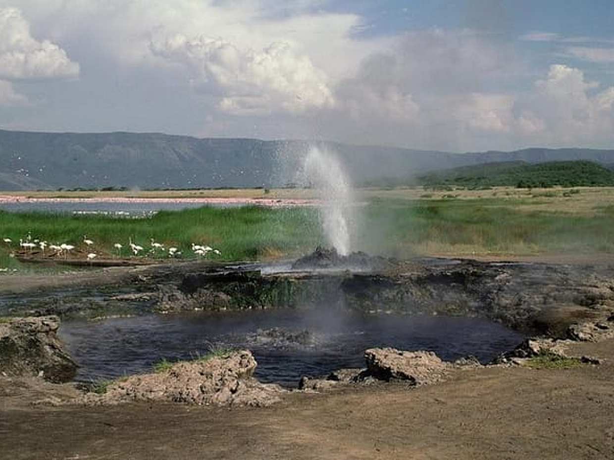 1-Day Lake Manyara Tour from Arusha, photo 4