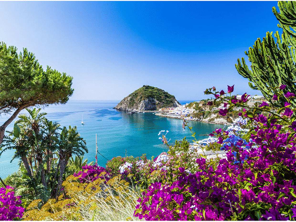 Discover Ischia and Procida by boat from Sorrento - maximum 12 people, photo 5