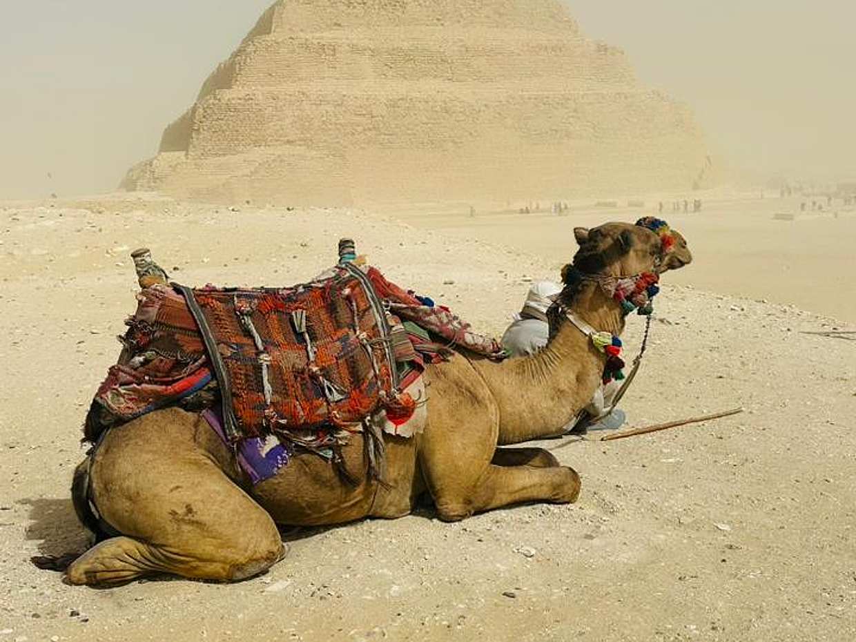 Dahshur, Sakkara και Μέμφις σε 1 ημέρα στην Αίγυπτο, Κάιρο