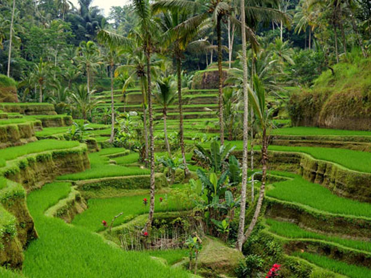 Tour dei canyon nascosti, delle cascate e dei templi di Bali, photo 4