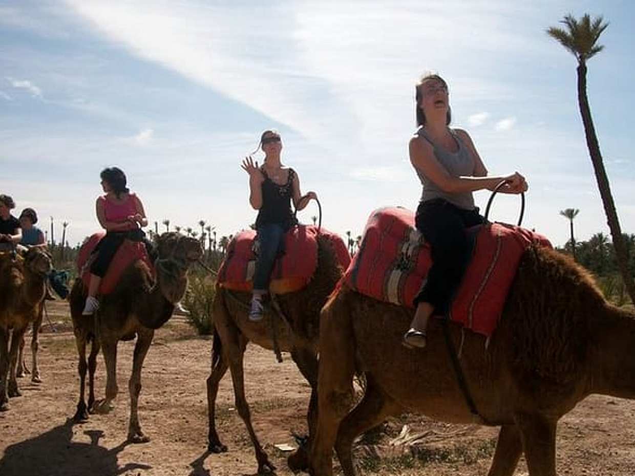 Camel ride in Marrakech Palm Grove, photo 3