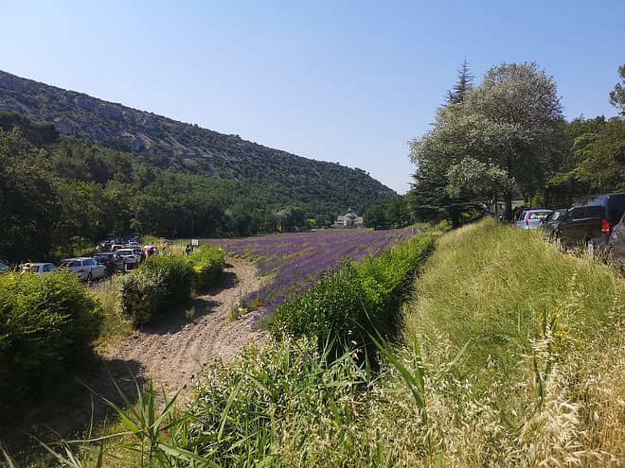 Marseille Shore Excursion: Private Day Trip to Luberon Villages, photo 4