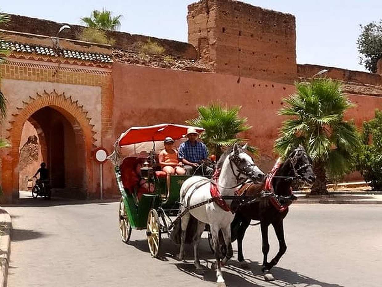 Horse Carriage Ride in Marrakech, photo 2