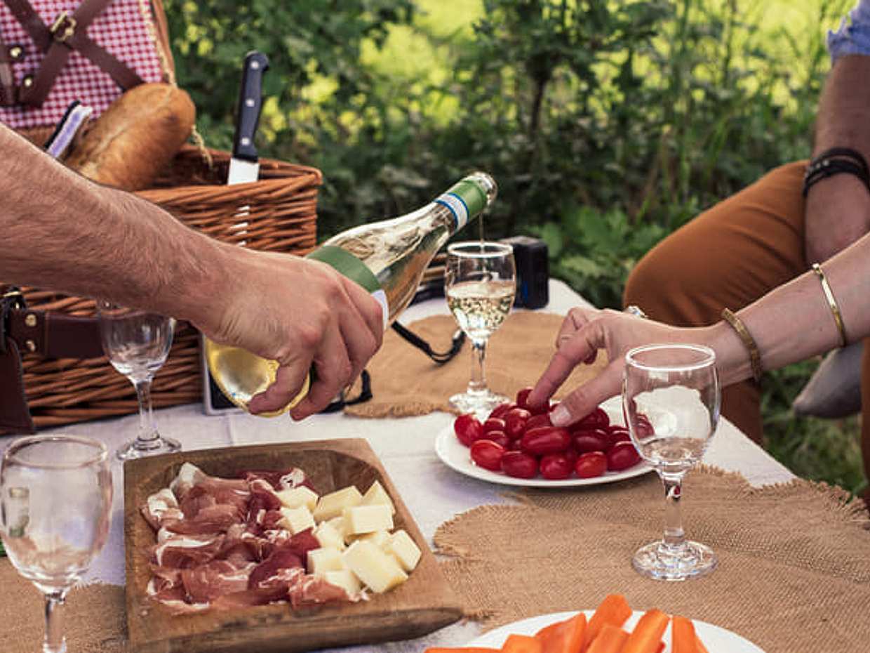 Pic Nic with Wine Tasting in the Vineyards, photo 5