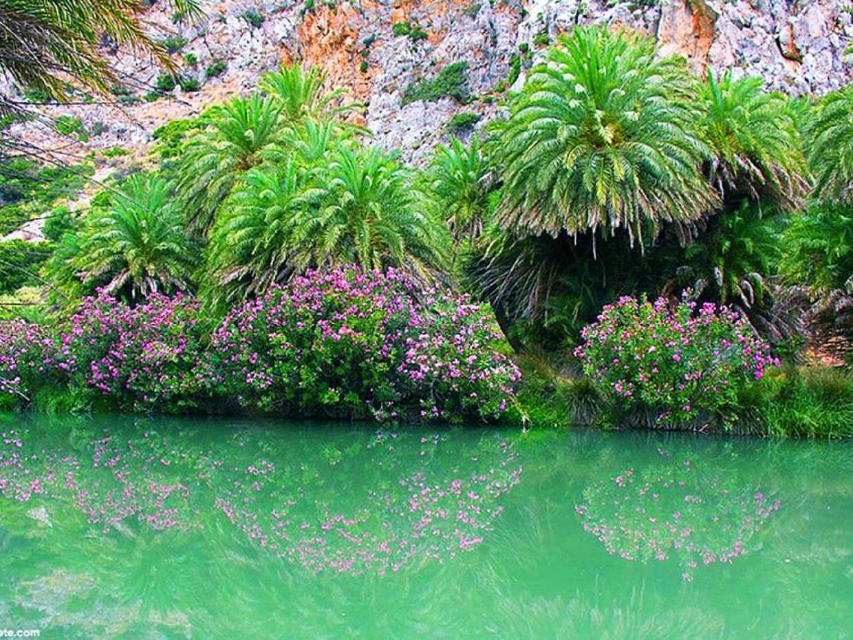 Preveli Palm Beach ab Rethymno in Griechenland
, photo 5