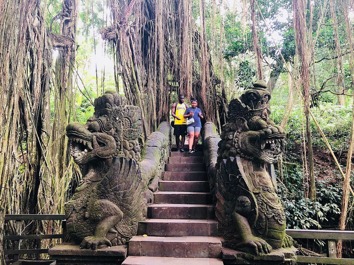 An Ubud Guided Tour ( Bali’s Cultural Center ) and Tanah Lot Temple in Indonesia, photo 4