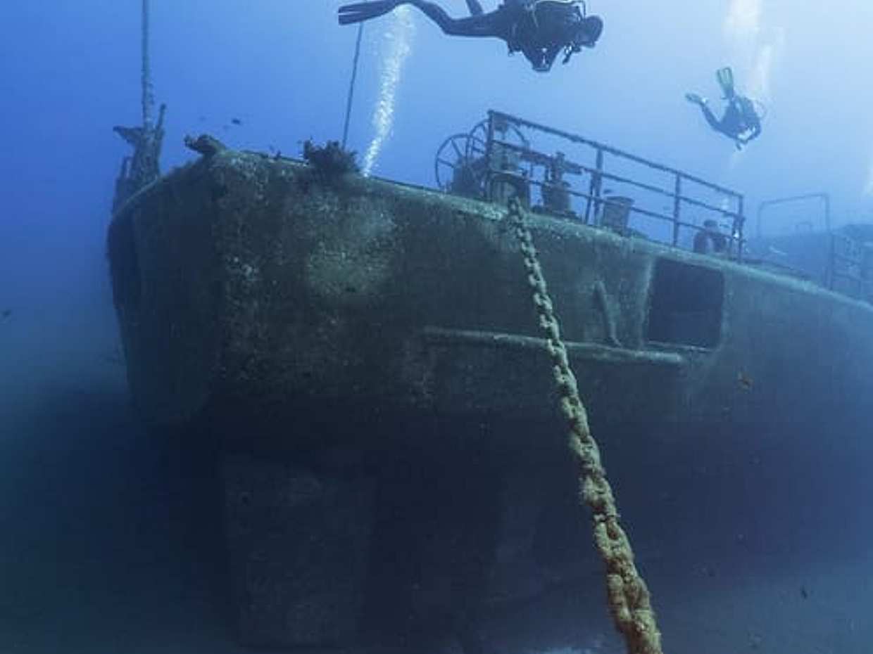 "PECIO CORVETA AFONSO CERQUEIRA - Inmersión única en Portugal, Funchal", photo 3