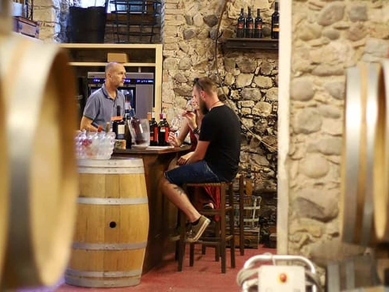 Wine Tasting in Historical Center of Lazise