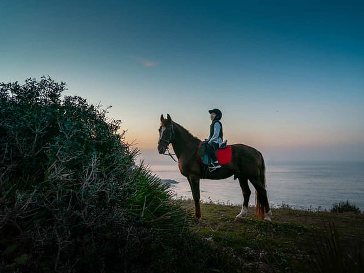 Horseback Riding – Tangier (Mountain & Sea) in Morocco, photo 4