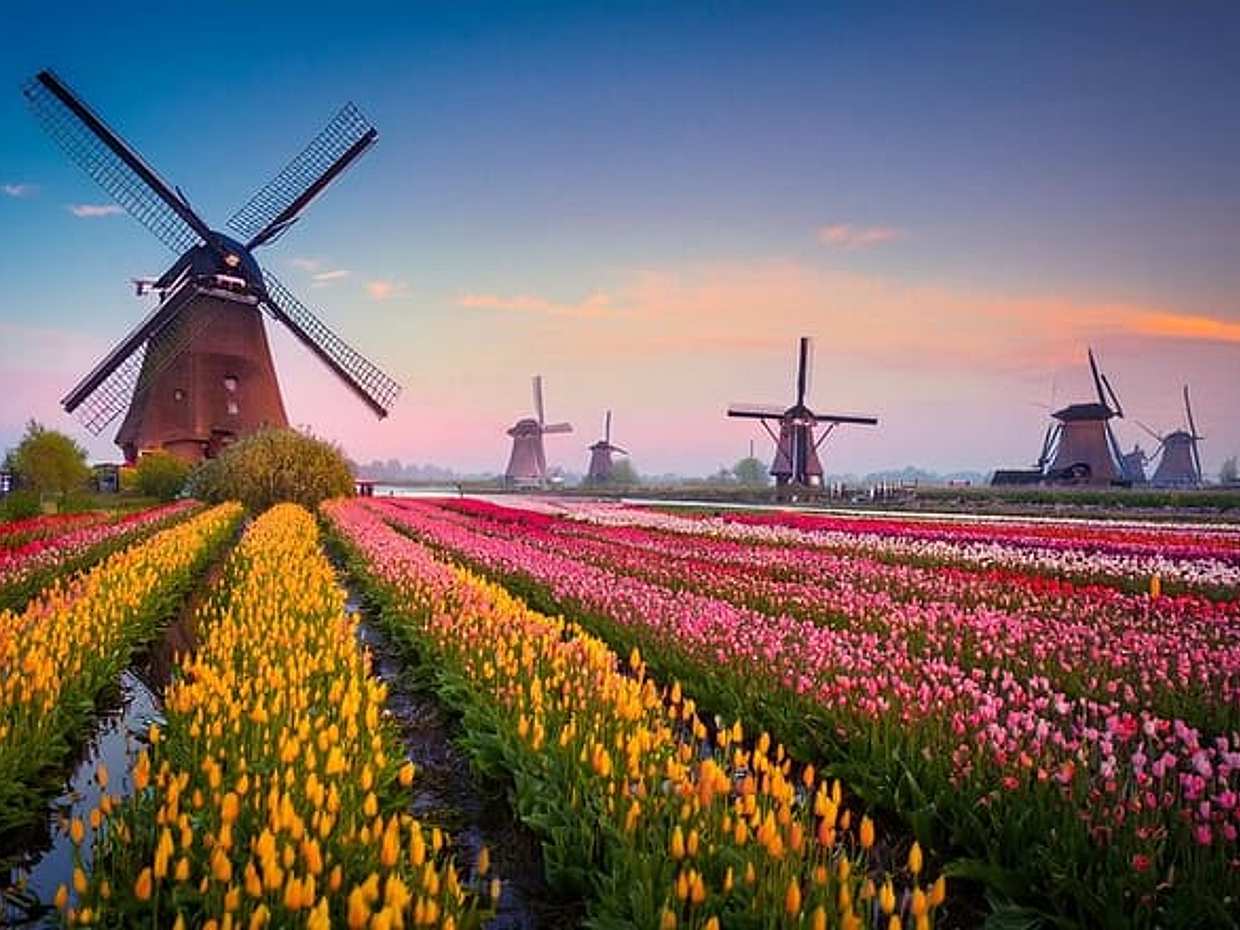 Privétransfer van Amsterdam naar Kinderdijk, 2 uur stop in Gouda in Nederland, photo 2