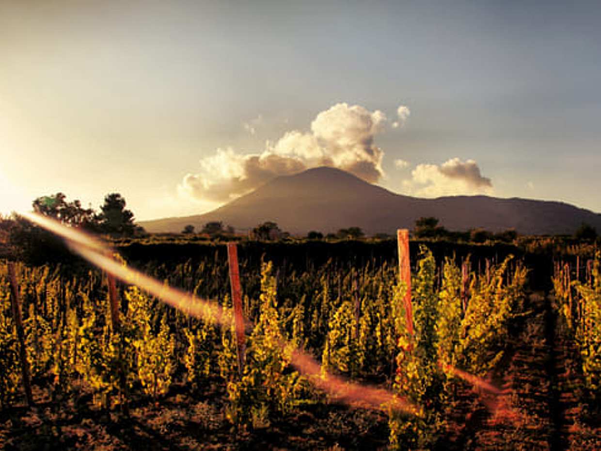 WINE TASTING on Vesuvius tour from Naples - Group Tour, photo 5