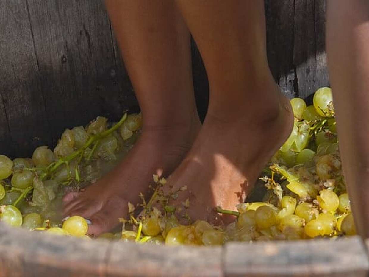 Tuscan Grape Stomping and Wine Tasting Adventure in Chianti