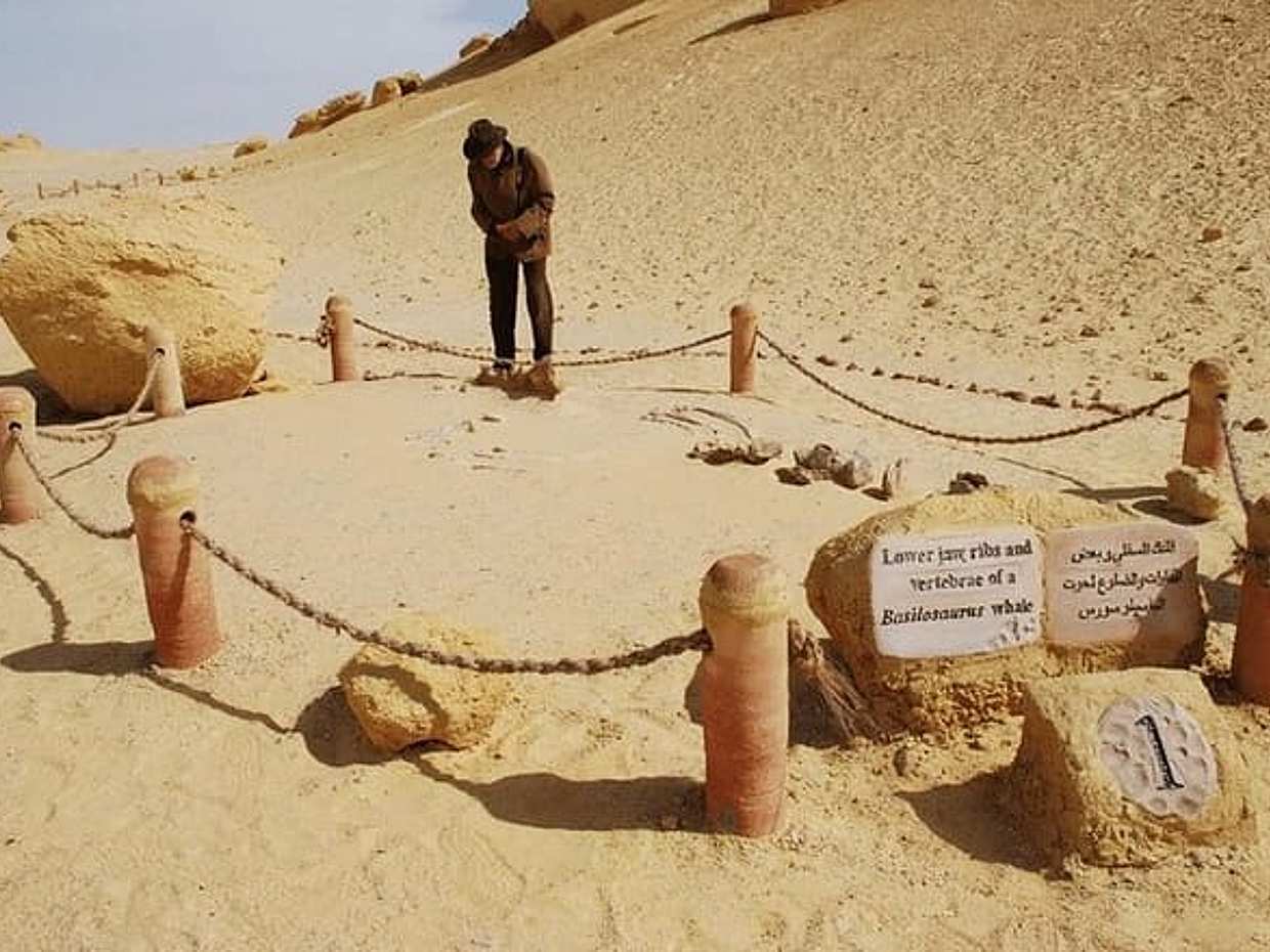 From Cairo: Whale Valley and Wadi El Rayan Waterfalls Tour, photo 2