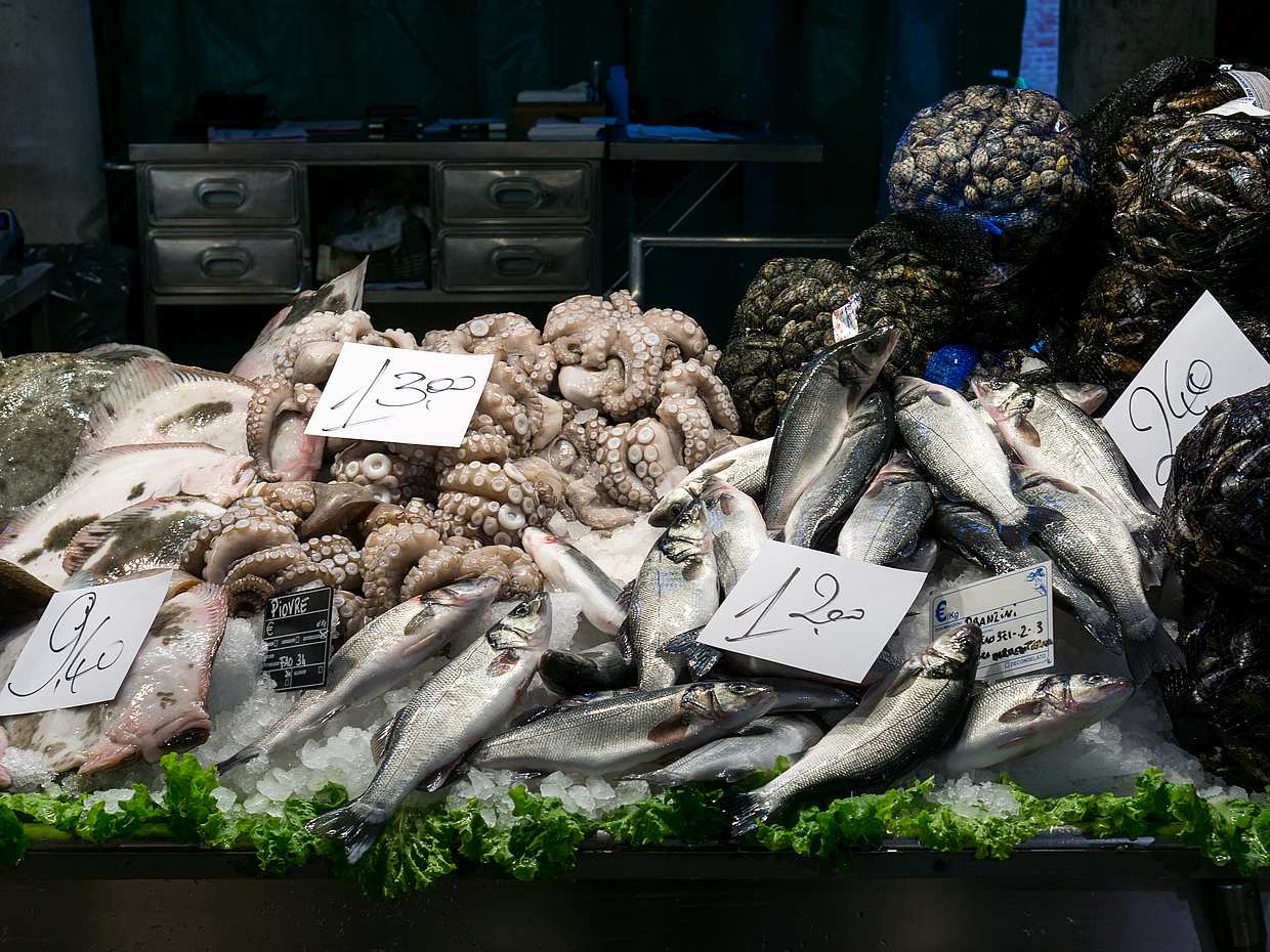 Fish Shopping in Rialto and Home Cooking in Murano in Italy