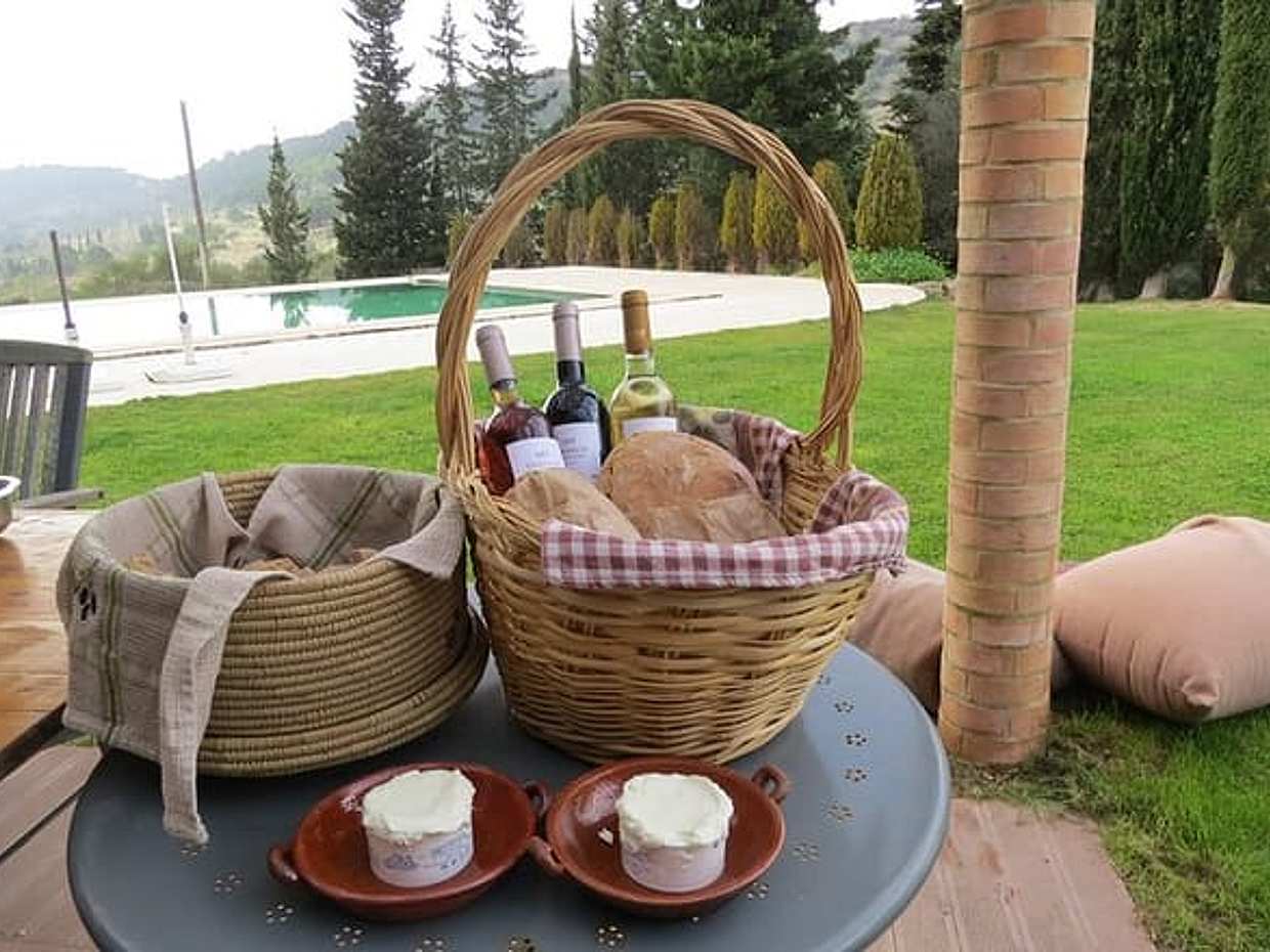"Esperienza di vino, pane e formaggio in piccoli gruppi con pranzo in agriturismo in Portogallo, Lisbona"