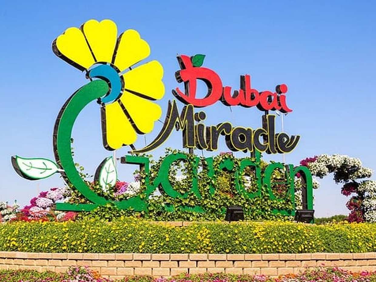 Dubai Miracle Garden Bilet w Zjednoczonych Emiratach Arabskich