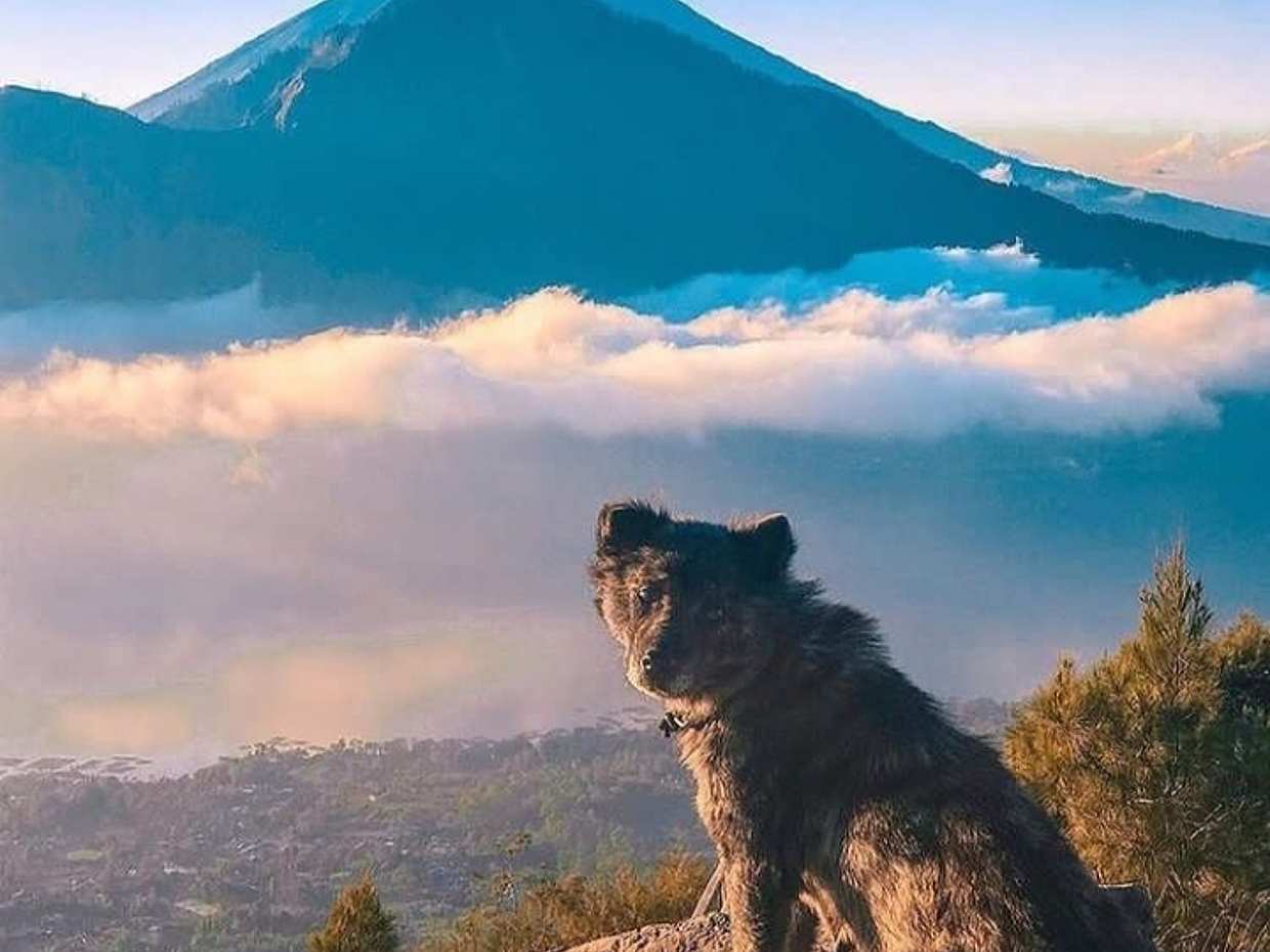 Mount Batur Sunrise Trekking in Bali, Indonesia, photo 4