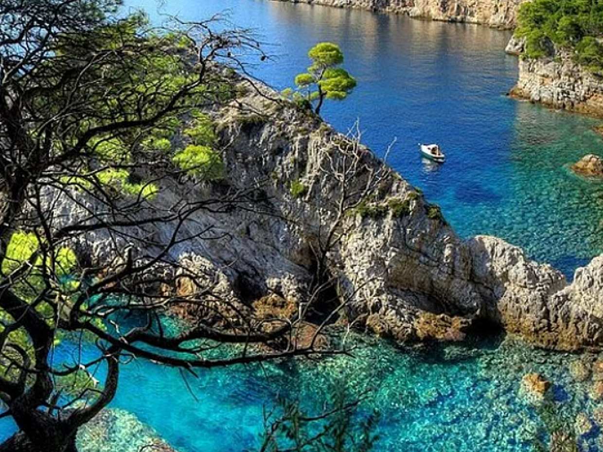 Gruppenreise: Fisch-Picknick – Elaphiti-Inseln in Kroatien
