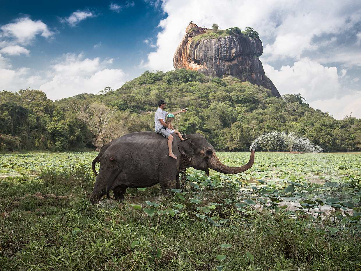 Private Elephant and Jeep Safari to Ancient Temples and Herbal Garden in Kandy, Sri Lanka
