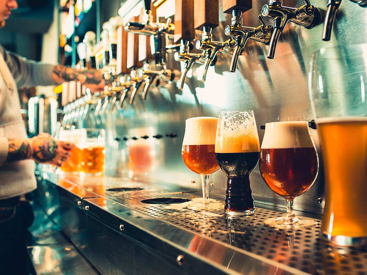 Venecia Cerveza Artesanal Tour Privado